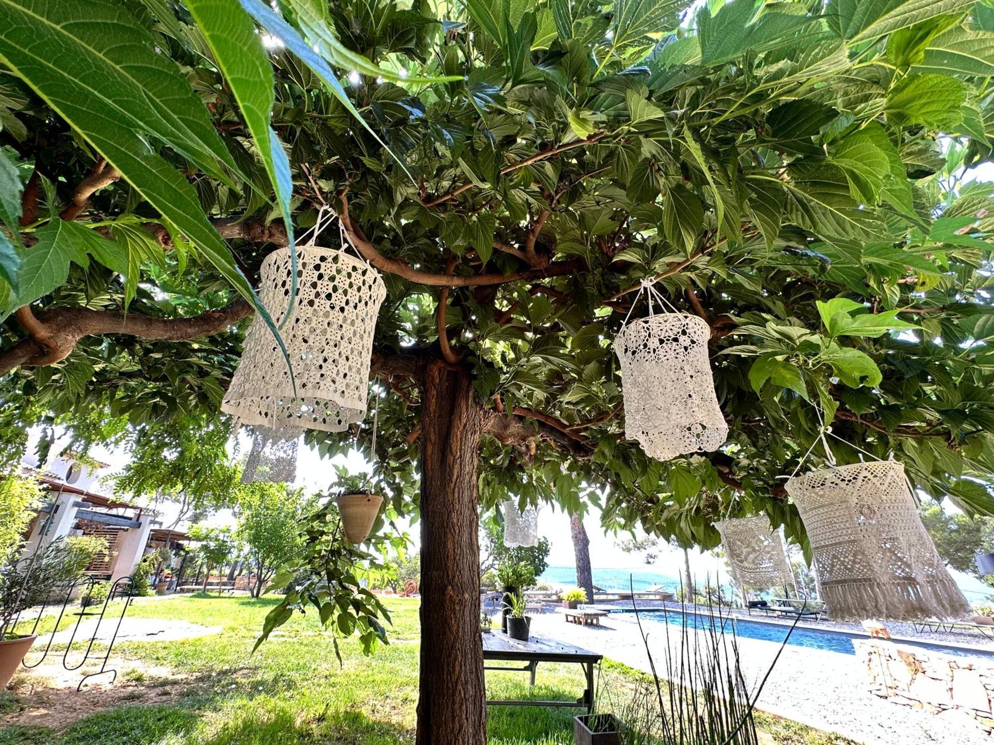 Simple Home لا كادير دازور المظهر الخارجي الصورة