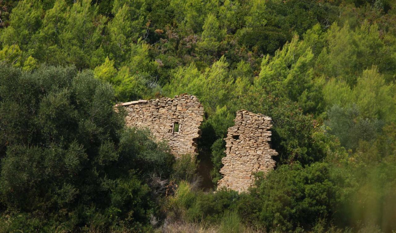 Simple Home لا كادير دازور المظهر الخارجي الصورة